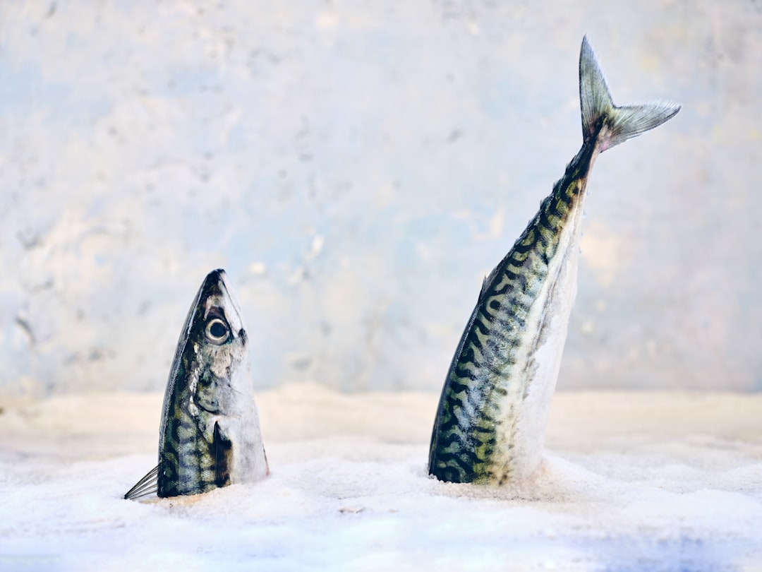 Voeding-en-balans bij prednison: Waarom vis soms minder geschikt is