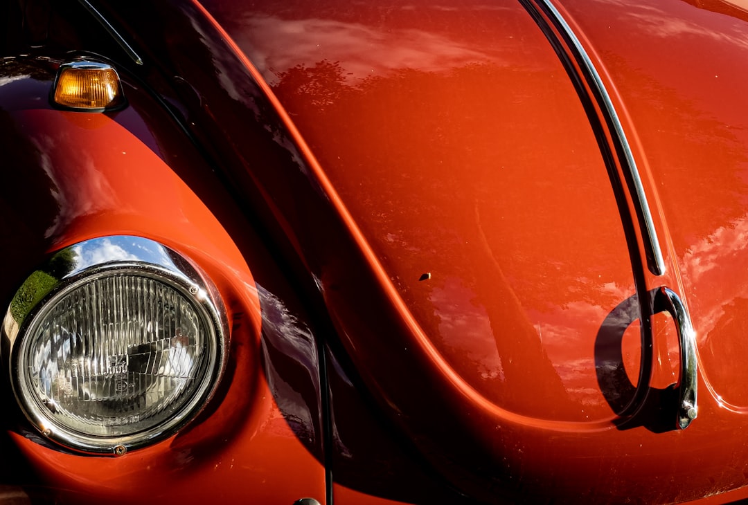 Meikevers in de lente: waarom ze achter je aan lijken te vliegen