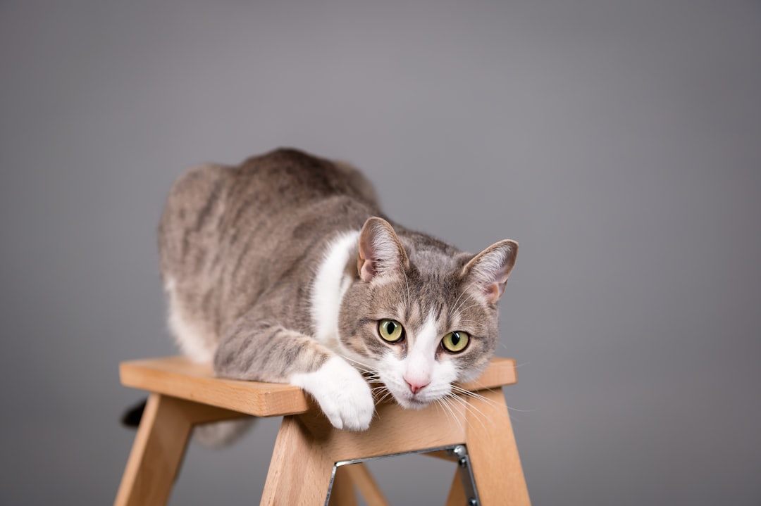 Wat je poep vertelt over jouw gezonde-leefstijl