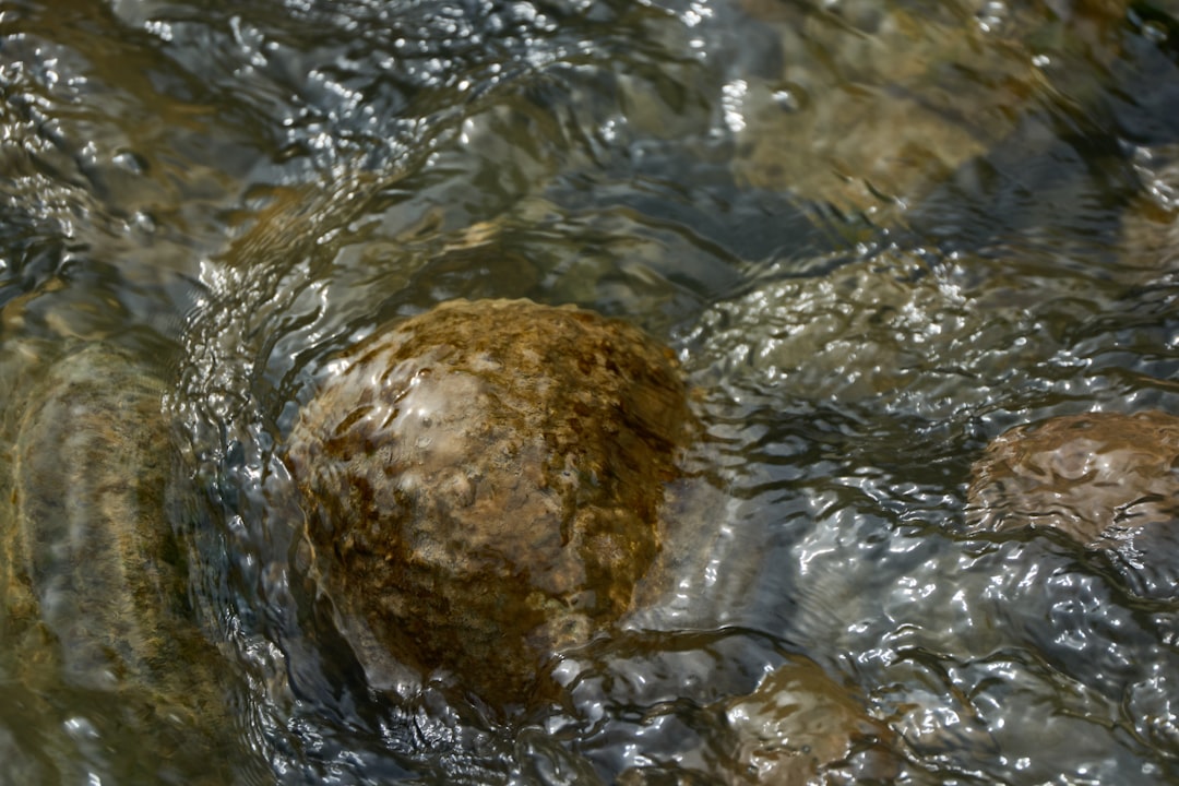 Visolie als onderdeel van voeding-en-balans: wat doet het voor je lichaam?