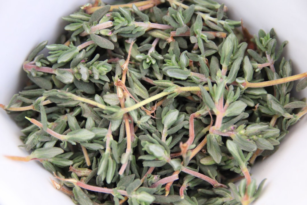 Thee voor een rustige maag en gezonde darmen